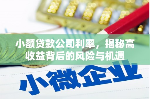 镜铁小额贷款公司利率，揭秘高收益背后的风险与机遇
