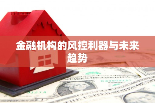 镜铁金融机构的风控利器与未来趋势
