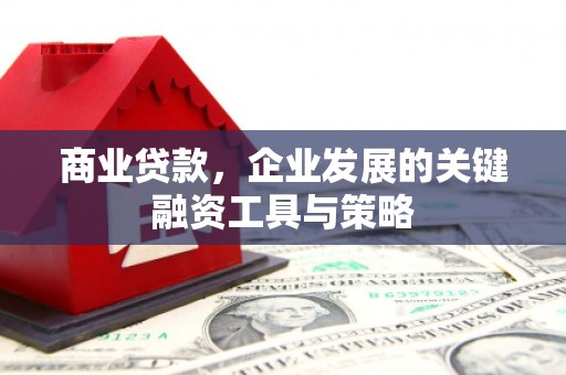 镜铁商业贷款，企业发展的关键融资工具与策略