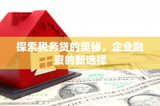 镜铁探索税务贷的奥秘，企业融资的新选择