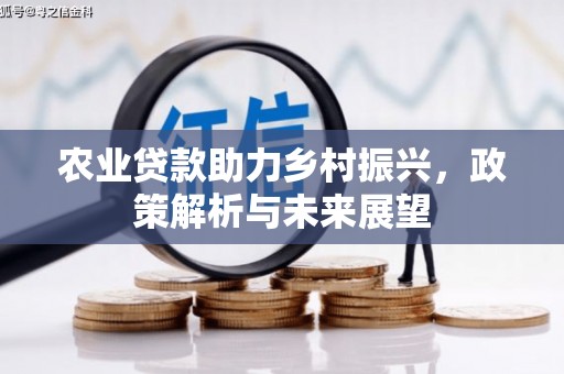 镜铁农业贷款助力乡村振兴，政策解析与未来展望