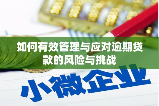 镜铁如何有效管理与应对逾期贷款的风险与挑战