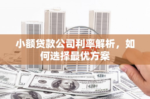 镜铁小额贷款公司利率解析，如何选择最优方案