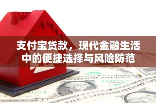 镜铁支付宝贷款，现代金融生活中的便捷选择与风险防范
