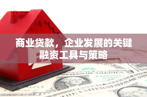 镜铁商业贷款，企业发展的关键融资工具与策略