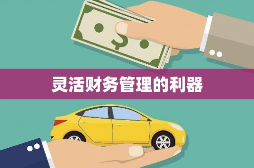 镜铁灵活财务管理的利器
