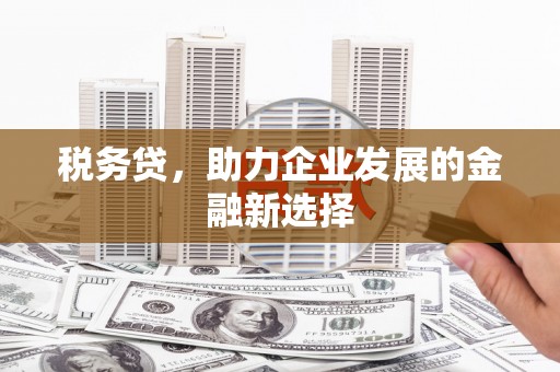 镜铁税务贷，助力企业发展的金融新选择