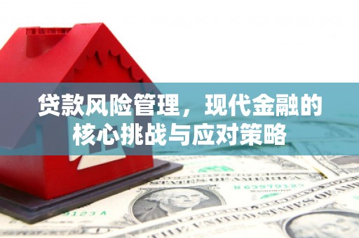镜铁贷款风险管理，现代金融的核心挑战与应对策略