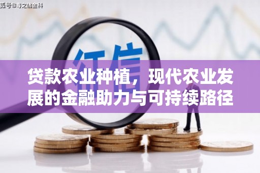 镜铁贷款农业种植，现代农业发展的金融助力与可持续路径