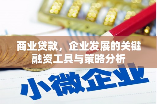 镜铁商业贷款，企业发展的关键融资工具与策略分析