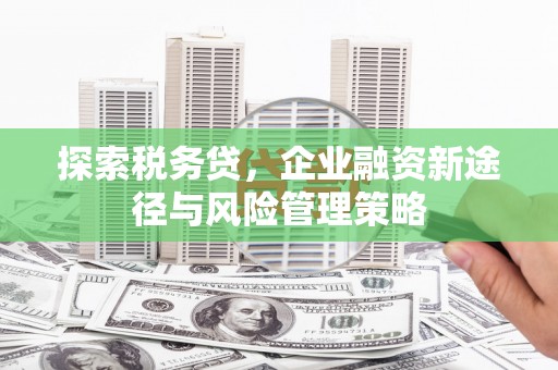 镜铁探索税务贷，企业融资新途径与风险管理策略