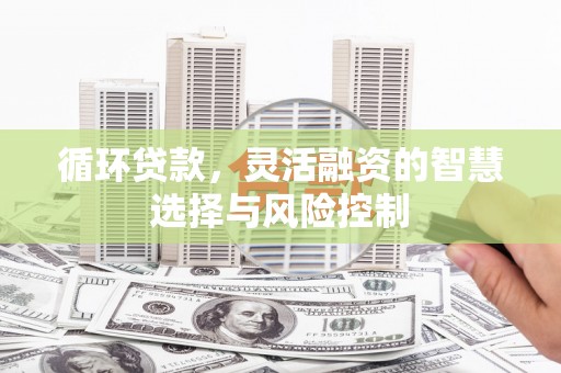 镜铁循环贷款，灵活融资的智慧选择与风险控制
