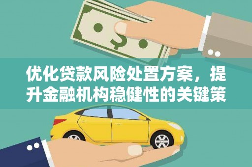 镜铁优化贷款风险处置方案，提升金融机构稳健性的关键策略