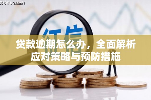 镜铁贷款逾期怎么办，全面解析应对策略与预防措施