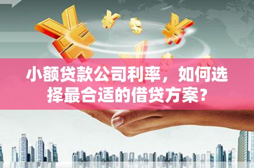 镜铁小额贷款公司利率，如何选择最合适的借贷方案？