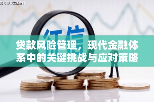 镜铁贷款风险管理，现代金融体系中的关键挑战与应对策略