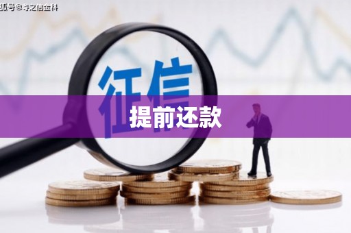 镜铁提前还款