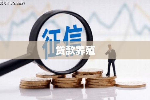 镜铁贷款养殖