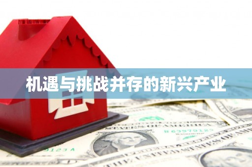 镜铁机遇与挑战并存的新兴产业
