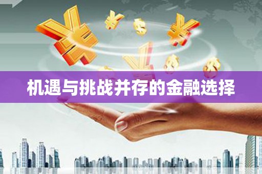 镜铁机遇与挑战并存的金融选择