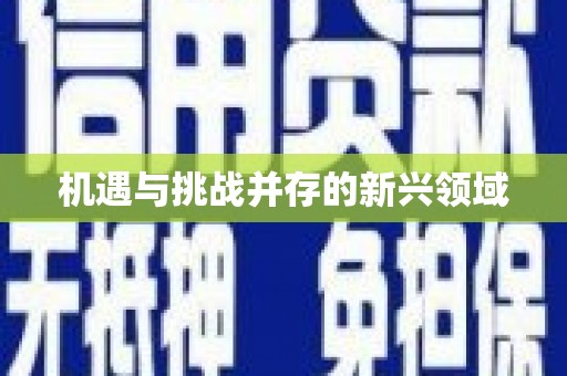 镜铁机遇与挑战并存的新兴领域