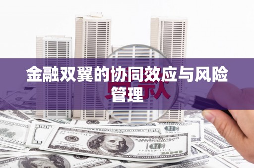 镜铁金融双翼的协同效应与风险管理